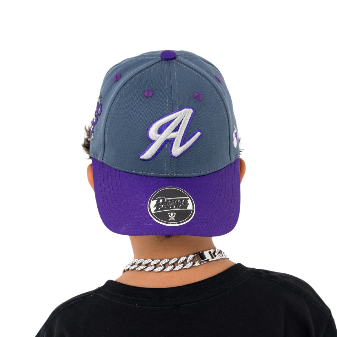 GORRA PURPLE PAWS DARK GRAY