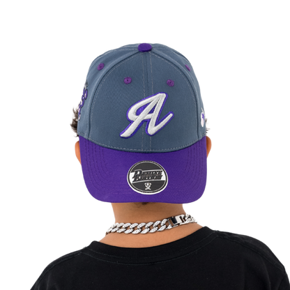 GORRA PURPLE PAWS DARK GRAY