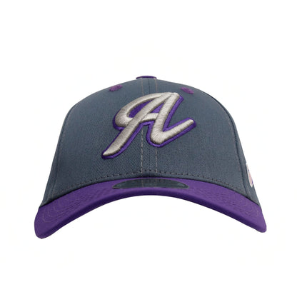 GORRA PURPLE PAWS DARK GRAY